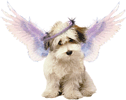 comme dit pérrine voici l'ange qui veille sur moi!!